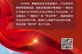 海报丨“鹤”舞中原向“高”攀图片