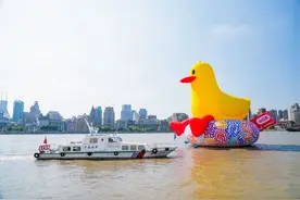 巨型艺术装置“鸭马路”畅游黄浦江，背后是他们在全力保障图片