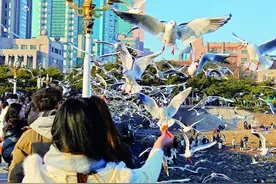 山东青岛：百岁老街新姿魅人图片