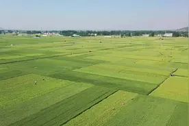 夜读丨林徽因：一个人的细水长流图片