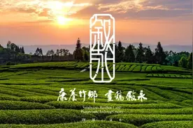 “三月三”相约浙江莲都｜叙永“非遗”民俗文化体验交流活动开始啦！图片