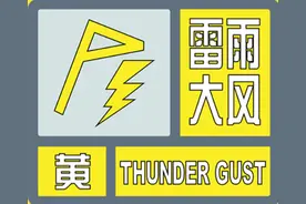 西安市预警！雷电、冰雹、7级阵风，马上到！图片