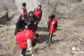 绿色家园靠大家图片
