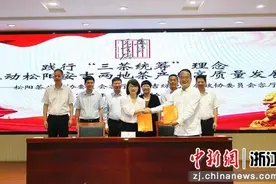 以茶为媒 浙江安吉松阳两地政协联手助共富图片