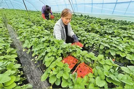 西安市特色小镇发展侧记图片