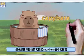 唠科团丨处变不惊？！水豚真的“情绪稳定”吗？图片
