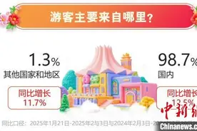 “数”说广西2025年春节假期 来桂旅游的国内游客同比增长12.5%图片
