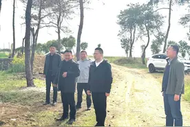 倡导文明祭祀 守护绿色家园图片