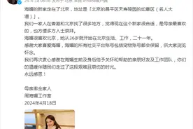 周海媚墓地选定，工作室发文图片