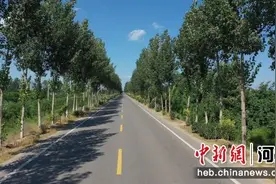 河北深州推进“四好农村路”建设 构建全新交通网络图片