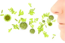 内蒙古大量患者突发过敏性哮喘涌入医院！困扰当地人的蒿草该如何治理？图片