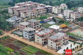 海口琼山区云龙镇龙进村：“五个统一”推进和美乡村建设图片
