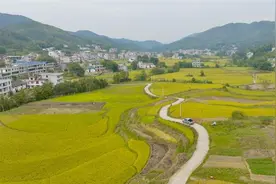 为黯淡无光注入活力与希望！“点亮计划”在岁月流转中焕发乡村新生图片