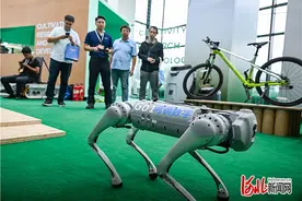 应用场景多，这款机器人有“超能力”图片