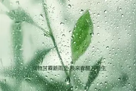 明天3时56分，正式迎来谷雨……图片