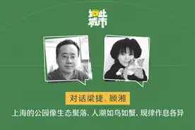 如此城市｜上海公园像生态聚落，人群如鸟如蟹，规律作息各异图片