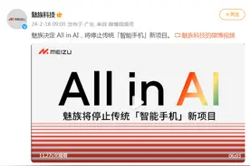 All in Al！魅族重磅官宣：停止传统智能手机新项目开发！OPPO创始人：2024年是AI手机元年图片