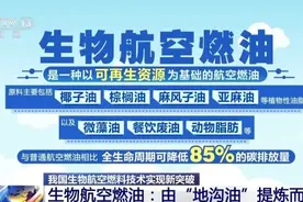 国产商用飞机首次完成烧“地沟油”飞行图片