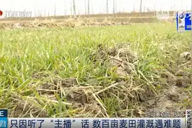 只要旱不死，就往死里旱？要辟谣更要提高农民科学素养丨九派时评图片
