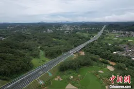 南宁—湛江高速公路广西段建成通车 广西与大湾区加速连通图片