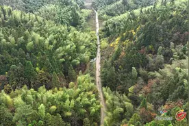 走红军走过的路 本周末来炎陵体验徒步穿越之旅图片