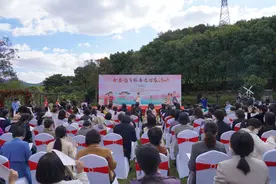 浙里幸福荟｜舟山：倡扬海岛新型婚育文化，推动婚育新风进万家图片