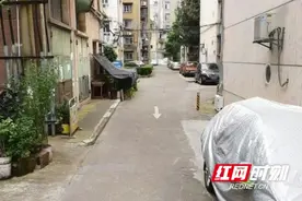万“巷”更新丨长沙金科园社区：闹市区的“世外桃园” 幸福生活“一键”达图片