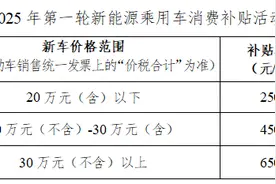 购车补贴、商圈上新……2025武侯春糖消费月来了！图片