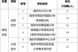 南京民办实验小学180人，南京雨花外国语学校小学170人……南京雨花区学校摇号计划出炉图片