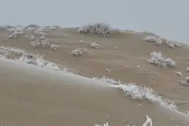 氛围感拉满！塔克拉玛干沙漠迎来大范围降雪图片