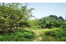 青未了 | 大山里的祖屋图片