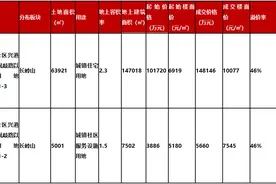 竞价242轮，海信地产入驻济南长岭山片区图片