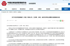 远洋控股及董事长王洪辉等3人被警示图片