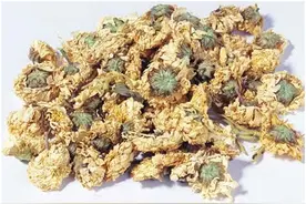四大怀药知多少图片