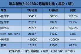 数说车市丨造车新势力2月销量排名再次“大洗牌”图片