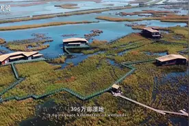 擦亮生态“底色”：上海崇明推进世界级生态岛碳中和示范区建设视频封面