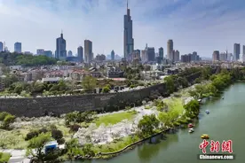 古城南京城墙内外春色美图片