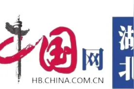 湖北全省基层纪委书记同上一堂课图片