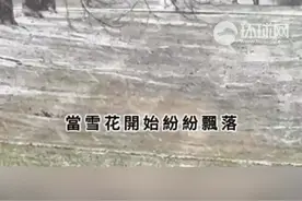 琼瑶遗书全文曝光，称自己已经“翩然”离去，“不要为我的‘死亡’悲哀”图片