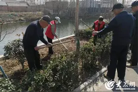 微山县西平镇清理整治绿化带 守护道路风景线图片