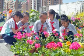 一起“趣”耕种，同学们沉浸式体验劳动的快乐图片