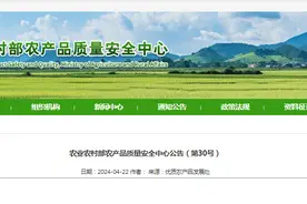 新一批全国名特优新农产品名单公布！福建12个农产品入选图片