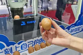 苹果的200家主要供应商中，有151家在中国生产图片