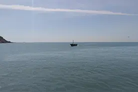 最后一艘渔船归港靠岸，渔民算账单一年最少挣十万图片