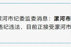 涉嫌严重违纪违法！河南漯河市委巡察组副处级巡察专员张国诚被查图片