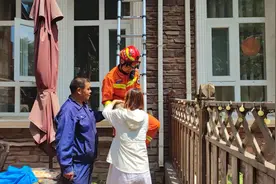 一宠物貂被困，消防员破拆下水管道成功解救图片