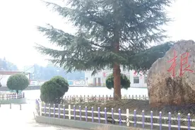 赫章罗春菊：育人倾情   菊香满径图片