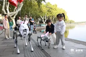 今年杭马最抢眼的明星可能是她！机器兔配速员下午在西湖边“热身”图片