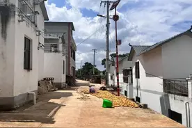 探访舆论漩涡里的百万粉丝网红小英：没有剧本，平日仍需干农活图片