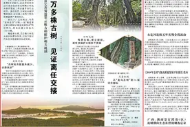 央媒看四川丨剑阁县完善蜀道翠云廊古柏保护相关机制：一万多株古树 见证离任交接图片